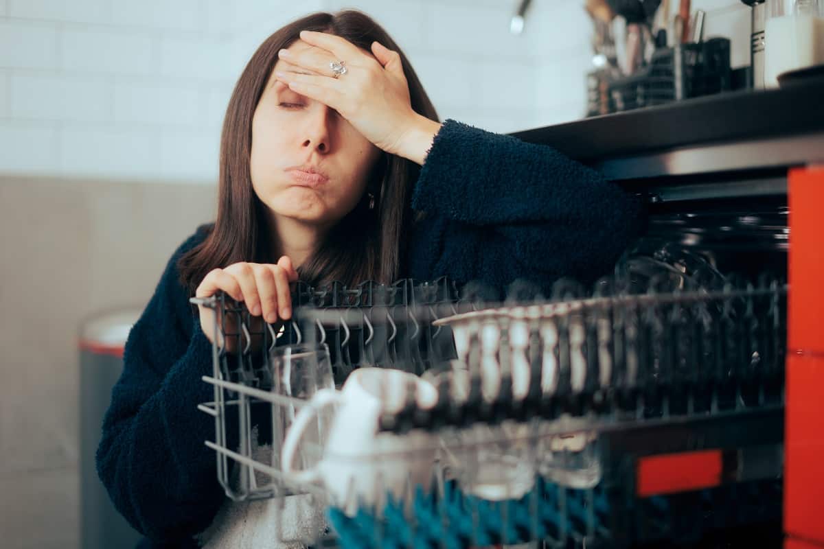 Dishwasher Unusual noises we fix in Manhattan