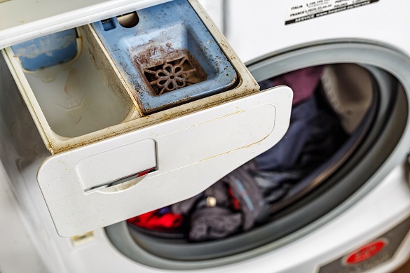 Washing,Machine.dirty,Moldy,Washing,Machine,Detergent,And,Fabric,Conditioner,Dispenser Detergent Problems