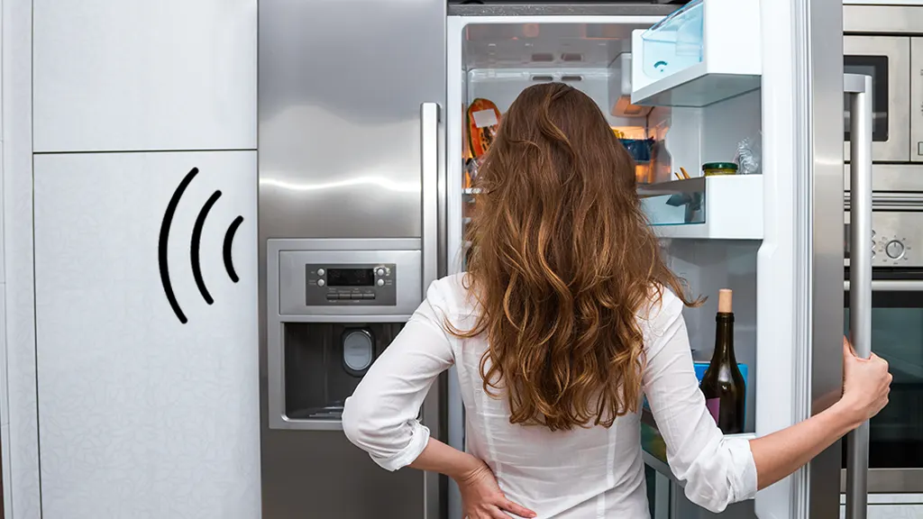 What’s That Noise Coming From My Refrigerator?