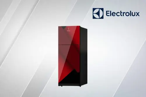 Electrolux Fridge Repair